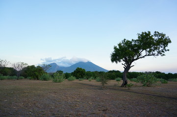 The savanna is dominated by dry grass and a few trees that spread wide with mountain and canyon...