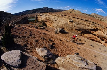 Biker Riding On Mountain Trail