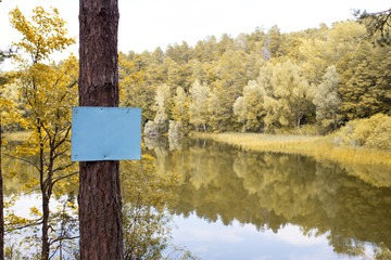empty blue Board on a tree in the forest with a lake. in autumn