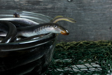 fresh lamprey in glass bowl on table with green fisherman's net and old wooden background