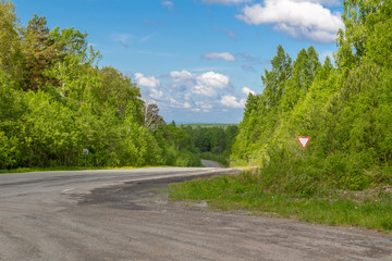 road in the forest