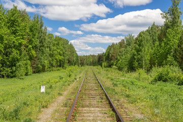 railway in the forest