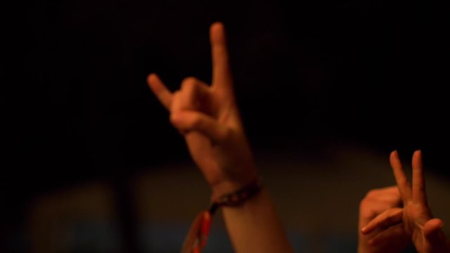 People clapping and showing horns, holding hands in air on metal concert.