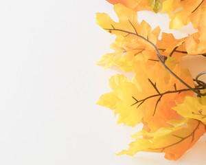 Naklejka na ściany i meble Autumn foliage on a white background with orange and yellow leaves.