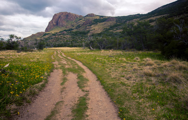 Fototapeta premium hiking trail in El Chalten Argentina 