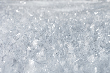 Snow background with detailed snowflakes. A macro photo of real snow crystals: large stellar dendrites with hexagonal symmetry, long elegant patterns and delicate transparent structures