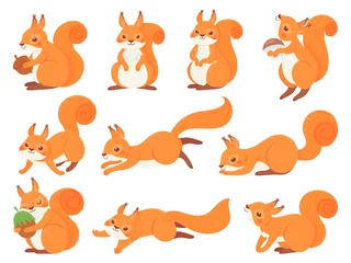 Poster Bosdieren Cartoon eekhoorn. Schattige eekhoorns met rode harige staart, zoogdieren dieren en bruine vacht eekhoorn vector set. Schattige bosfauna, grappige verzameling dieren in het wild stickers. Pakket met vrolijke welpillustraties