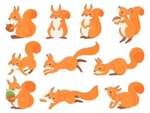 Cartoon Squirrel Images – Browse 43,992 Stock Photos, Vectors, and Video |  Adobe Stock
