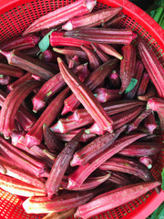 Red fresh okra for sale at market