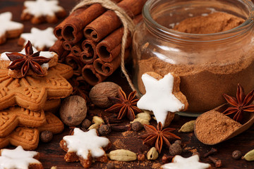 christmas gingerbread cookies with cinnamon and star anise