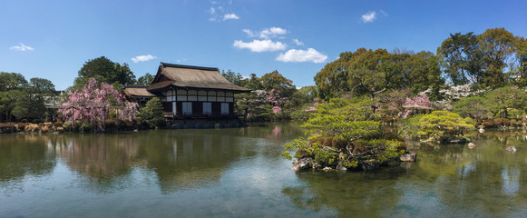 Fototapeta na wymiar Ancient wooden palace with cherry blossom