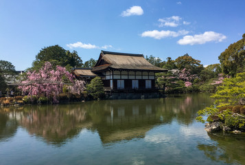 Fototapeta na wymiar Ancient wooden palace with cherry blossom