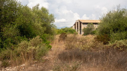 La naturaleza recupera terreno en un barrio abandonado