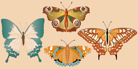 Orange, red and aquamarine butterflies on a delicate beige background. Seamless pattern. Vector illustration. Picture with insects.