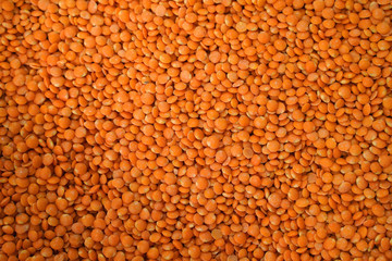 background of dried red lentils