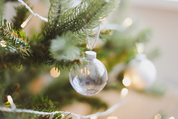 Christmas balls hanged on the Christmas tree branch.  Baubles and branch of spruce tree. Christmas...