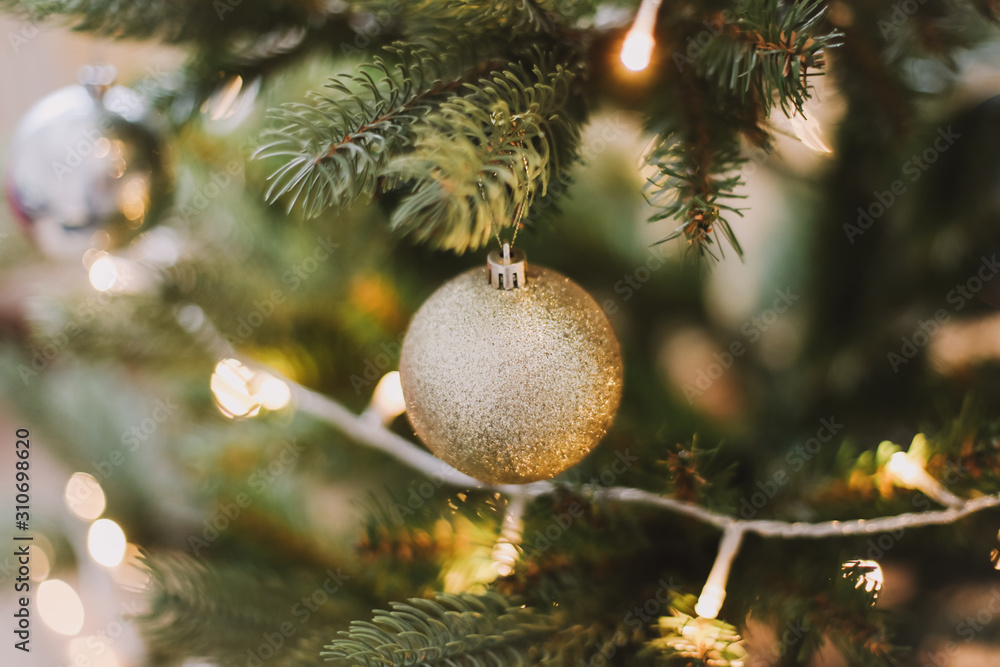 Wall mural christmas balls hanged on the christmas tree branch. baubles and branch of spruce tree. christmas an