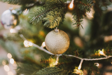 Christmas balls hanged on the Christmas tree branch.  Baubles and branch of spruce tree. Christmas and New Year background