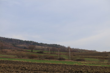 Fototapeta premium erdboden