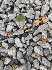 stone wall background