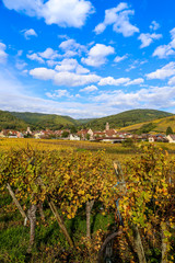 Fototapeta na wymiar Village de Riquewir vue des vignes