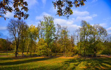 Fototapeta premium People walking at autumn park