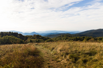 Naklejka premium Appalachian Trail at Max Patch