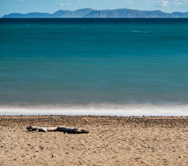 Fototapeta na wymiar Long exposure seascape with driftwood.