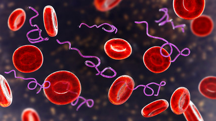 Borrelia bacteria in blood, 3D illustration. The causative agent of Lyme disease and relapsing fever - obrazy, fototapety, plakaty