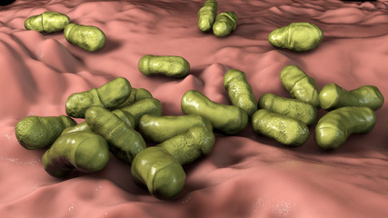 Microscopic fungi Malassezia furfur, 3D illustration. They are naturally found on the skin surfaces and are also associated with dandruff, seborrhoeic dermatitis and tinea versicolor