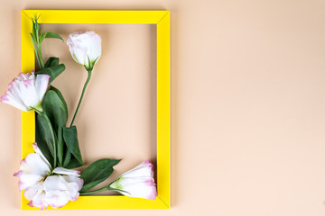 Empty yellow frame and flowers eustoma on beige paper background with copy space. Holiday concept