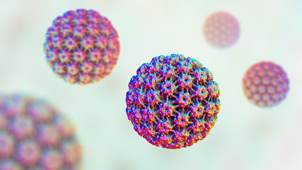 Human papillomavirus, a virus which causes warts located mainly on hands and feet, some strains infect genitals and can cause cervical cancer, 3D illustration