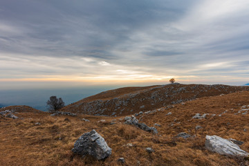 The plateau of Cansiglio in Italy