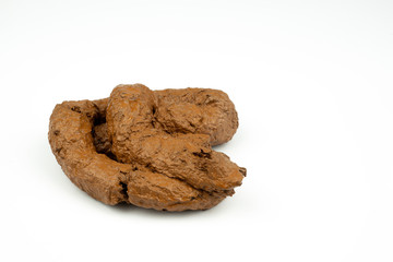 Close up of brown dog poop ,isolated on white background - obrazy, fototapety, plakaty
