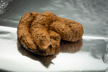 Close up brown dog poop isolated on silver background