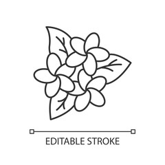 Plumeria inflorescence linear icon. Exotic flowers. Flora of Indonesia. Blossom of frangipani. Thin line illustration. Contour symbol. Vector isolated outline drawing. Editable stroke