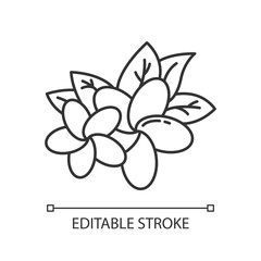 Fototapeta premium Plumeria linear icon. Two exotic flowers. Flora of Indonesia. Tropical plant. Blossom of frangipani. Thin line illustration. Contour symbol. Vector isolated outline drawing. Editable stroke
