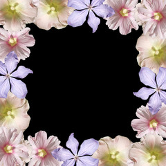 Beautiful floral background of clematis and mallow. Isolated