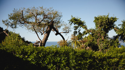 Paysage du Sud de la France