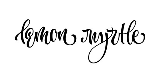 Lemon myrtle - vector hand drawn calligraphy style lettering word. Isolated script spice text label. Labels, shop design, cafe decore etc