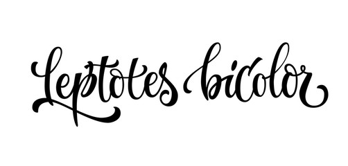 Hand drawn spice label - Leptotes bicolor. Vector lettering design element. Isolated calligraphy script style word for labels, shop design, cafe decore etc