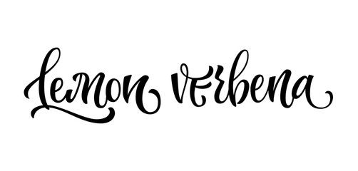 Vector hand drawn calligraphy style lettering word - Lemon verbena. Labels, shop design, cafe decore etc Isolated script spice text logo. Vector lettering design element.