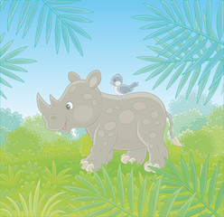 Little grey rhinoceros with a small bird walking through green tropical jungle, vector cartoon illustration