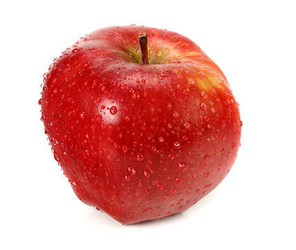 one red apple with water drops isolated on white background