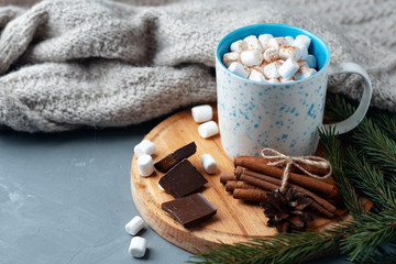 Fototapeta na wymiar Hot chocolate autumn and winter drink with marshmallows and cinnamon