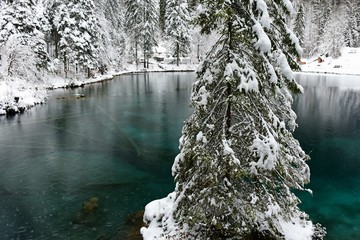 Blausee, Kandersteg Switzerland