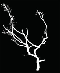 A leafless tree vector