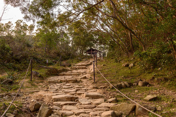 a low angle shot of hiking trail with a wooden pavilion of ma on shan country park, hong kong, china