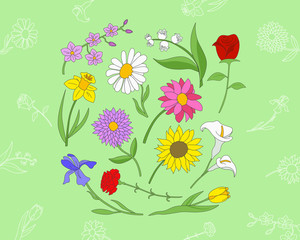 Flower Icons set - Vector color symbols and outline of rose, tulip, chamomile, carnation, iris, callai, orchid, narcissus, sunflower, chrysanthemum and astra for the site or interface