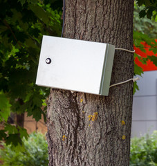 Electrical control cabinet is mounted on a tree trunk